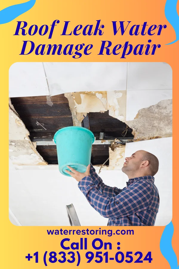 Roof Leak Water Damage Repair in Perley, MN