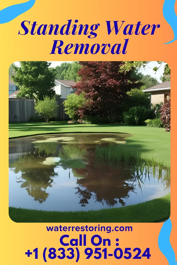 Standing Water Removal in Perley, MN